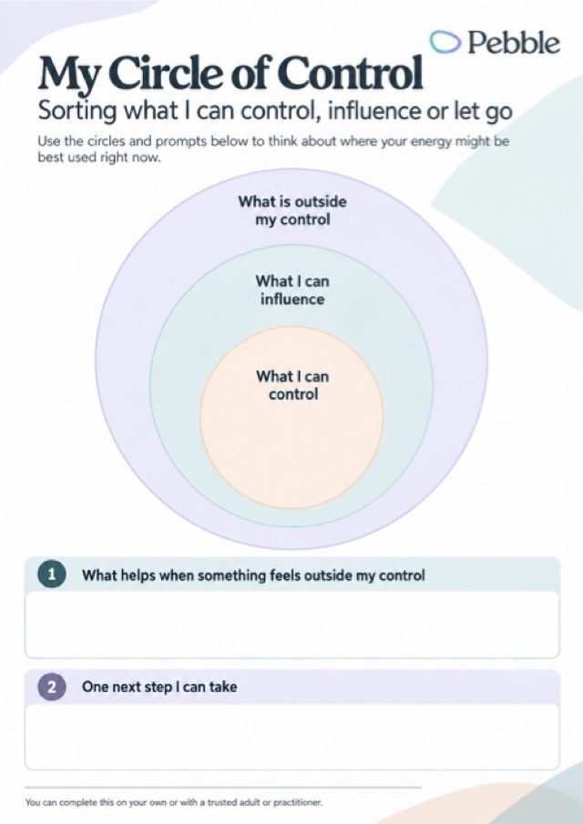 Preview of the My circle of control worksheet